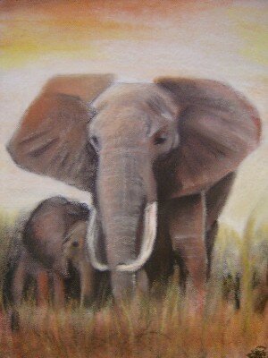 L Elephant D Anniversaire Dessins Espiegles