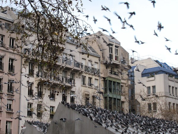20190323 envol de pigeons place beaubourg
