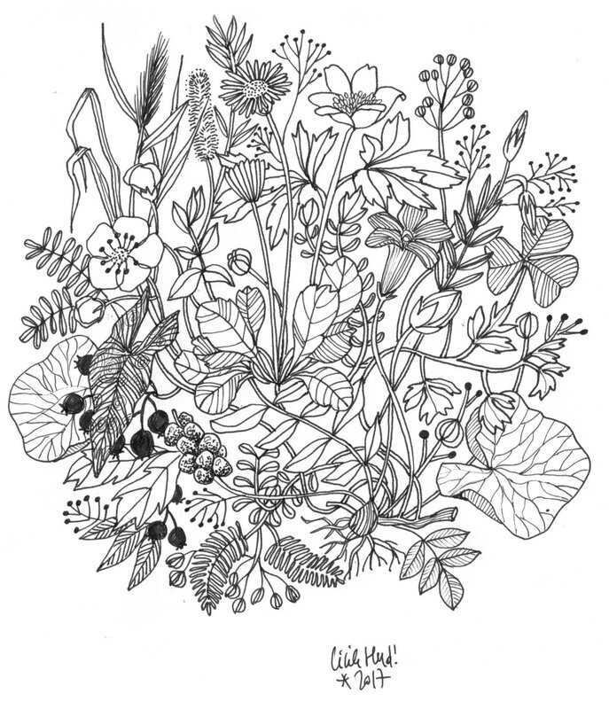 fleursbig copie