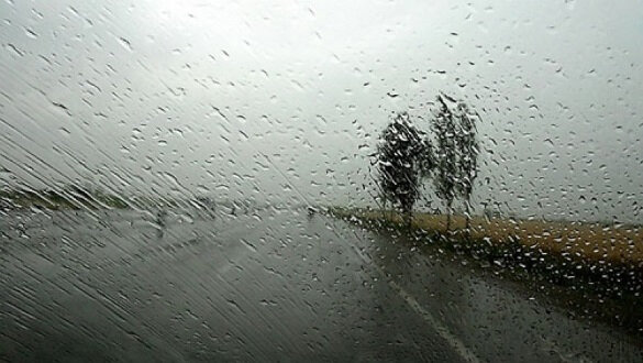 abbas kiarostami d