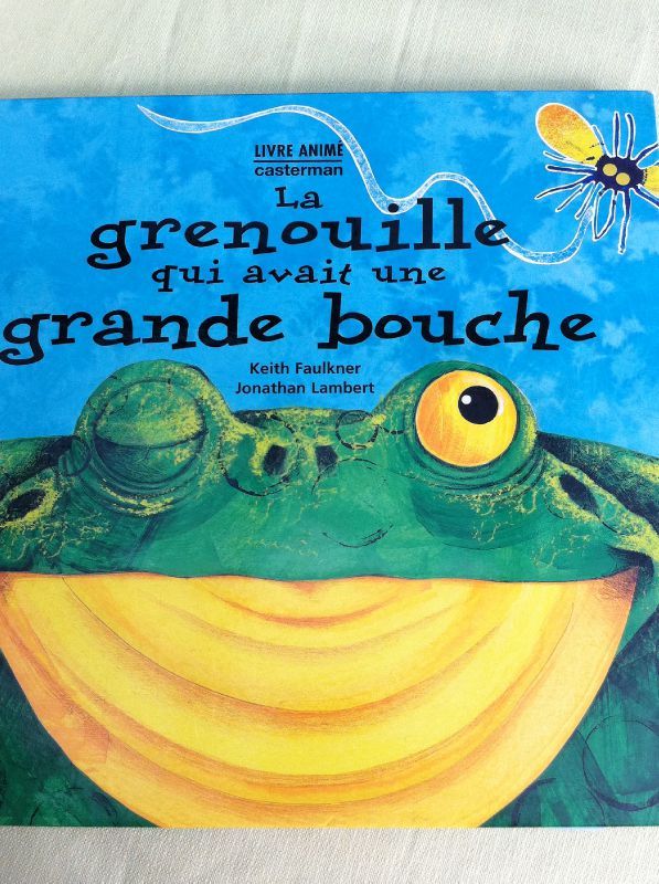 La Grenouille A Grande Bouche Popote Pelote - 