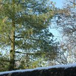 Ma_maison_divers18