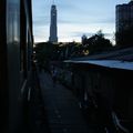 IMG_6505