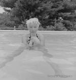 1955-connecticut-SP-Swimming_Pool-064-2-MHG-MMO-SP-23
