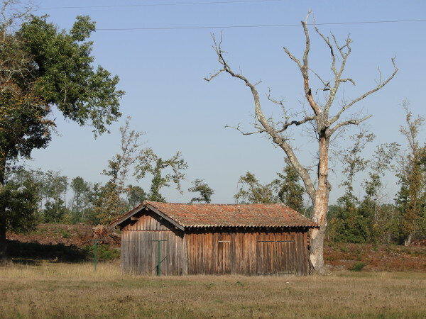 10-grange