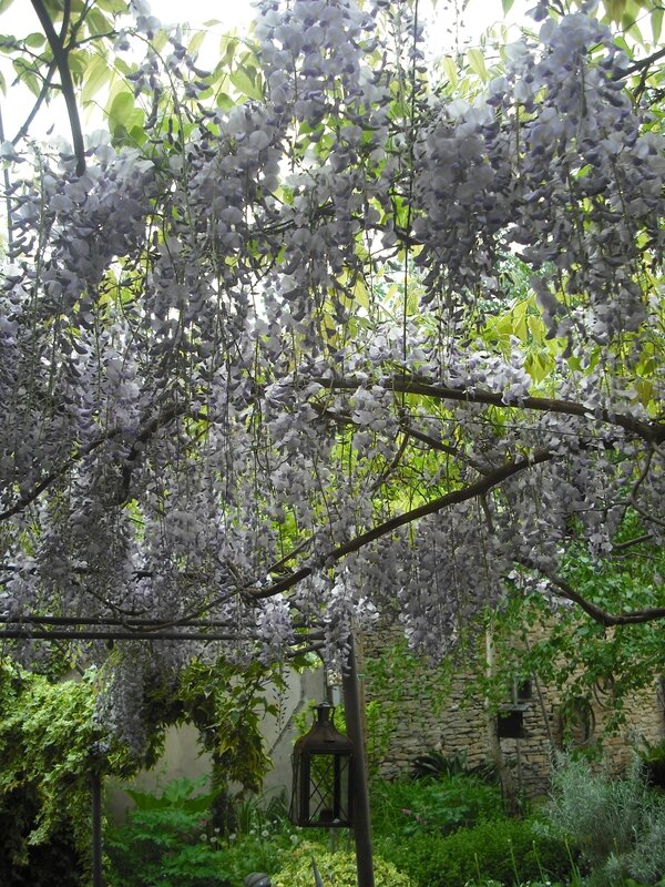 DSCF4943
