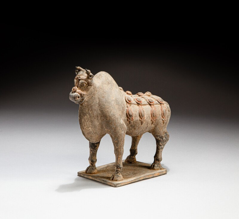 A painted grey earthenware figure of an ox, Northern Wei dynasty