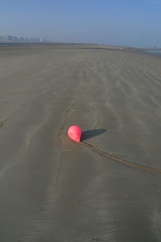 la_mer_mars2011__203_