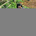 IMG_1012 (Copier)