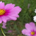 2010-09-01_225643