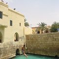 gafsa raouf kaabachi wed elbay (17)