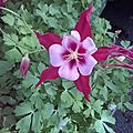 WP_20170527_005