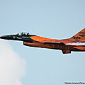 Netherlands-Air Force 313 Squadron