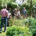Les jardinautes en pleine communion…!