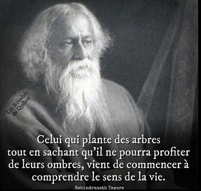 &aecologie8