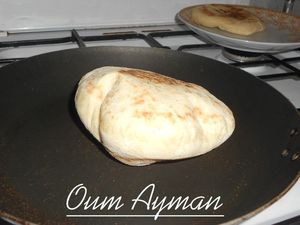 DSCN6531