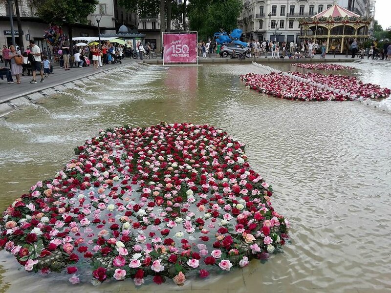 Roses Et Fleurs