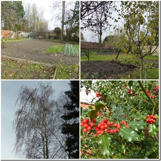 jardin 14 décembre 20202