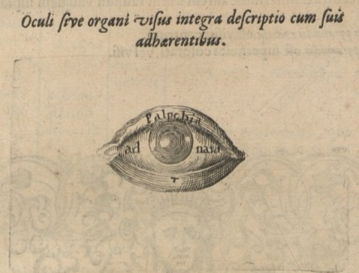 yeux- robert fludd kasper robin