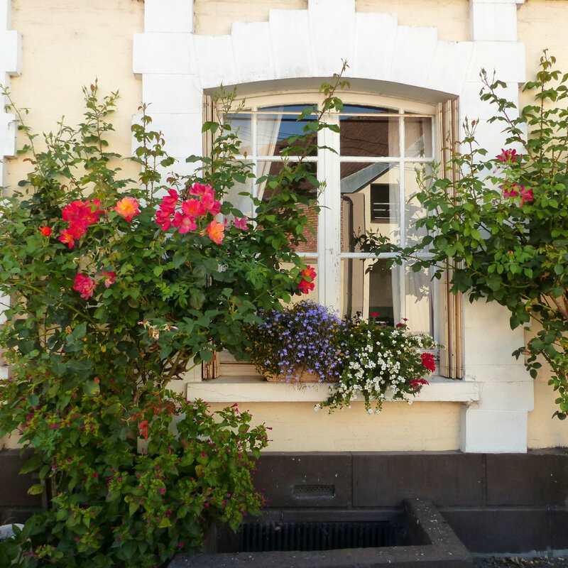a FENETRES PORTES FLEURIES32