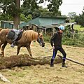 équitation de pleine nature - rallye équestre (150)
