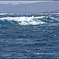 DSC00424