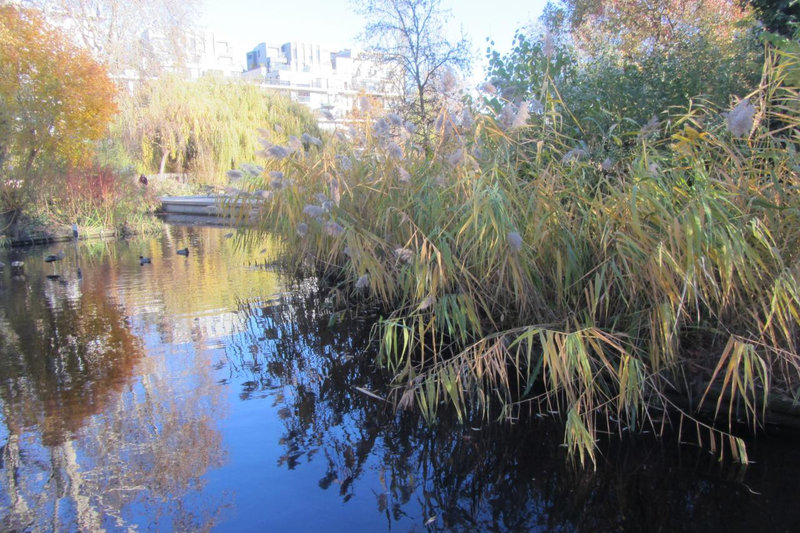 17-Chris parc de Bercy (1)