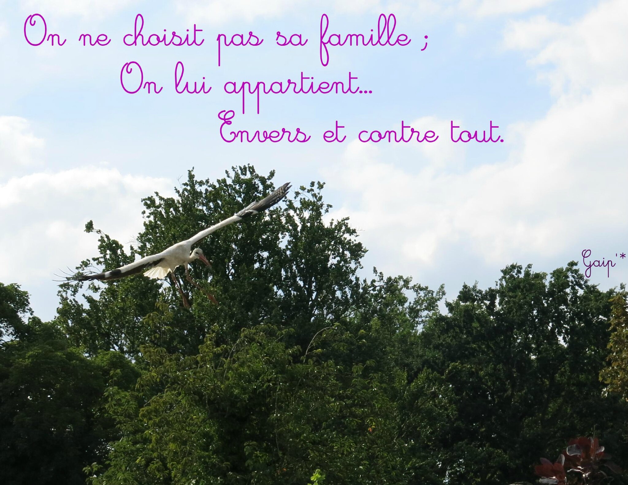 Famille Citations Reflexions