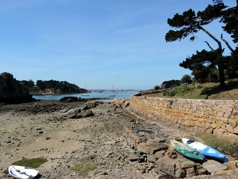 _copie-0_DSCN9126