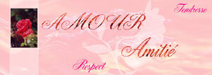rayon_rose