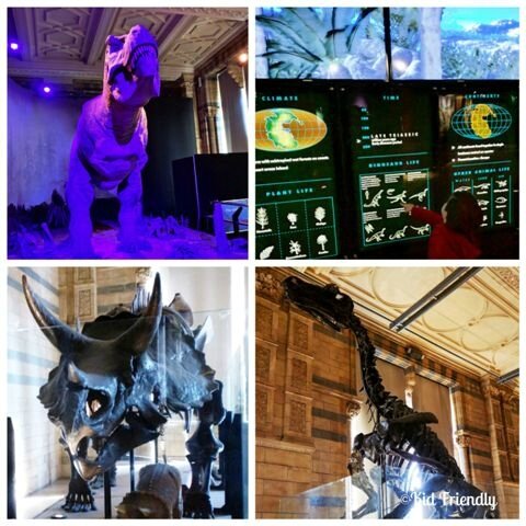 Natural History Museum©Kid Friendly