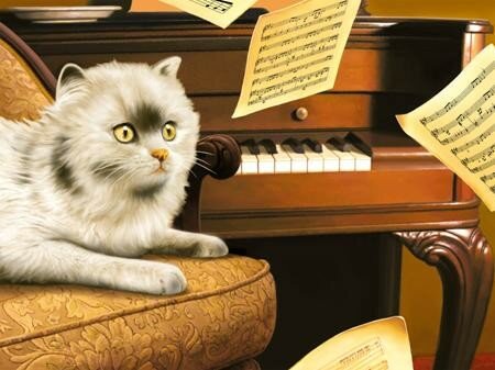 Le Chat Musicien Des Poemes Et Des Chats