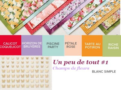 champs de fleurs1