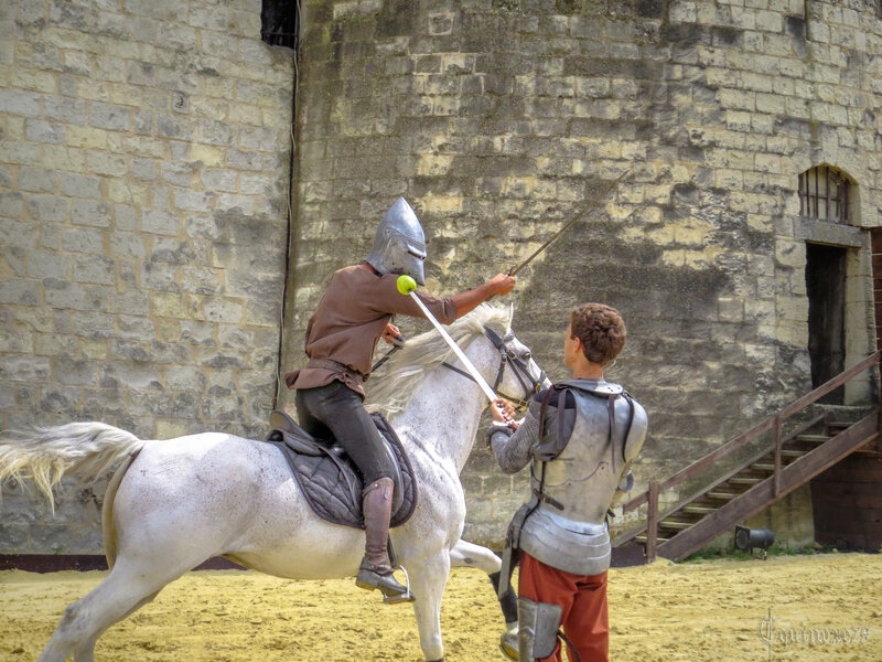 destrier pour les joutes de René d'Anjou château saumur (4)