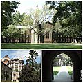 Princeton campus3