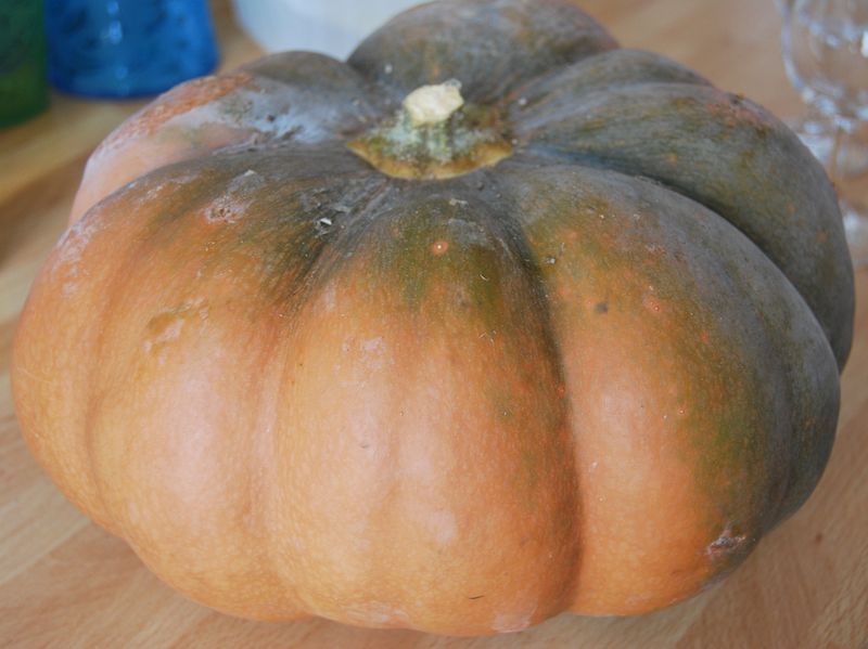 Velouté De Courge Musquée De Provence Cuisine à Partager