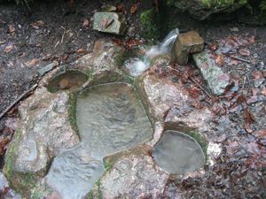 la source de saint thibaut 020