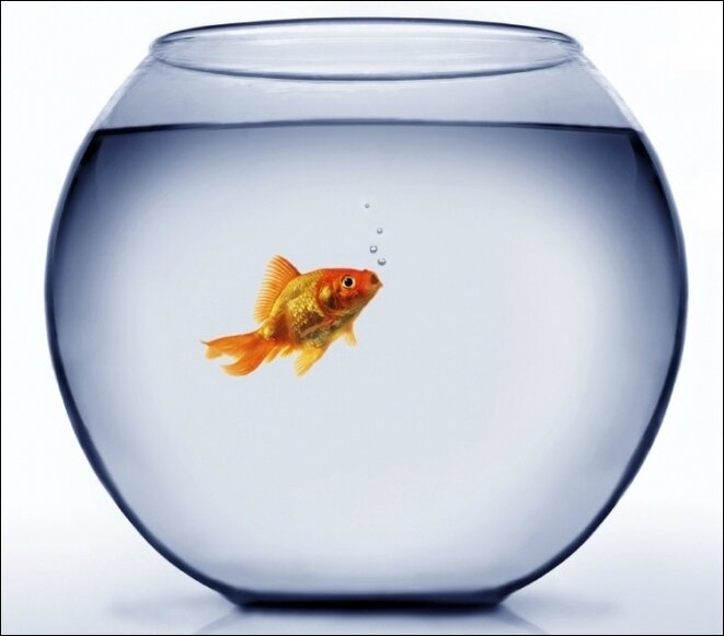 poisson