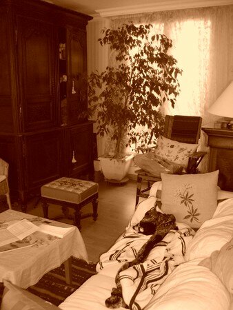 salon