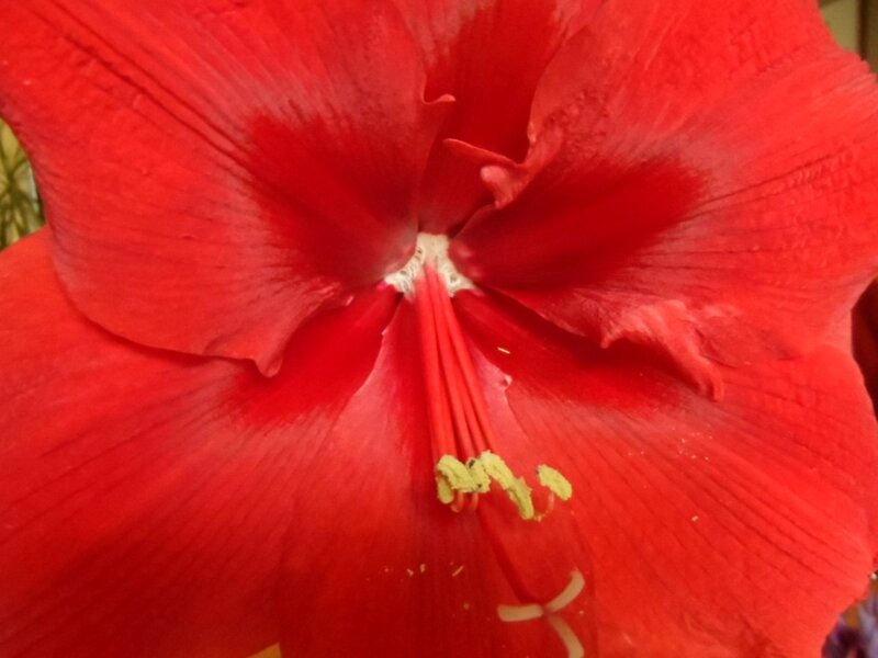 018