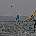 IMG_9536 - Copie