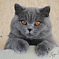 _DSC4561