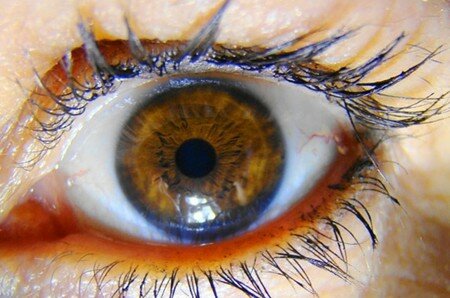 macro