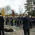 IMGP2184