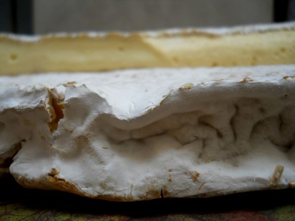 5 Brie de Meaux