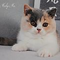_DSC0579