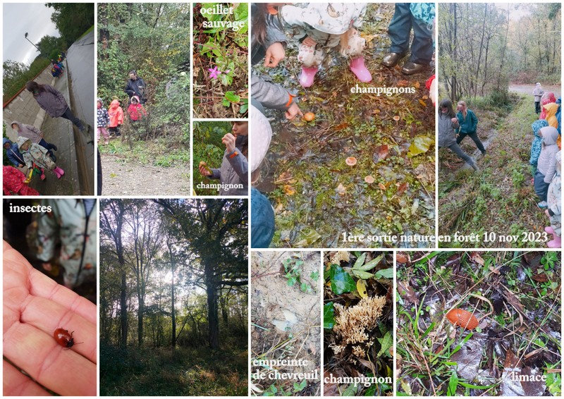1ère sortie nature 10 11 23