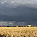 IMG_4186