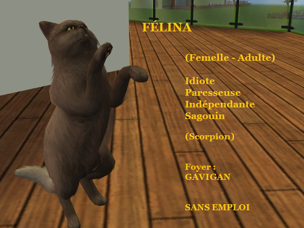FELINA