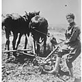 Usa 1917-1918 : femmes au travail